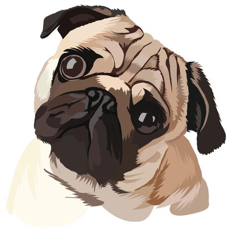 Wallpaper Pug, Pug Drawing, Pug Wallpaper, Pug Cartoon, Pug Illustration, Pug Art, Tshirt Illustration, Pug Mom, The Pug