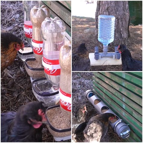 Easy Diy Chicken Feeder, Chicken Feed Diy, Diy Chicken Feeder, Pet Chickens Breeds, Chicken Waterer Diy, Chicken Water Feeder, Chicken Coop Ideas, Chicken Aesthetic, Chicken Feeder Diy