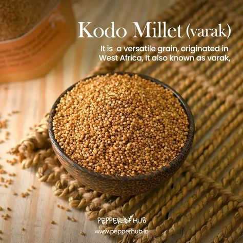 Go millet, go healthy! Explore our variety of organic millets - Foxtail, Proso, Barnyard, Pearl & more! Shop now and upgrade your health game! https://www.pepperhub.in/product-category/organic-products/millet/ #MilletsLove #OrganicMillets #HealthyLiving #Millet #HealthyCooking #healthylifestyle #healthyfood Health Game, Organic Products, Millet, West Africa, Healthy Cooking, Healthy Living, Healthy Lifestyle, Healthy Recipes, Stuffed Peppers