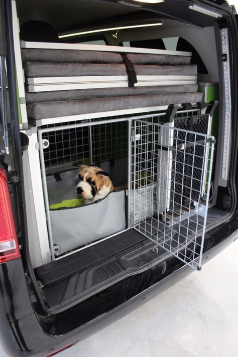 Hiace Camper, Dog Van, Camper Dog, Modular Interior, Dog Transport, Mercedes Camper, Tiny House Camper, Caravan Makeover, Dog Box