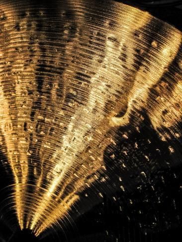 size: 12x9in Giclee Print: Zildjian Hi Hat Cymbals : Soft Gold Aesthetic, Brass Aesthetic, Gold Flapper, Canvas Wallpaper, Gold Wallpaper Background, Art Deco Gold, Mood Images, Gold Glam, Gold Aesthetic