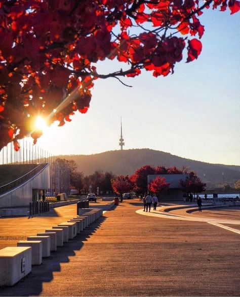 Fitness Style, Canberra, Merlot, Beautiful World, Our Love, Lifestyle Blog, Lamp Post, Sailing, Beautiful Places