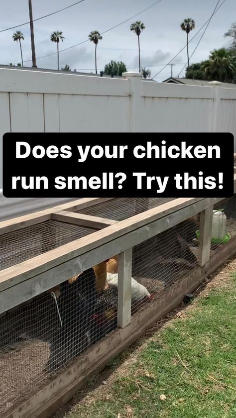 Chicken Run, Chicken Runs, Chicken Coops, Raising Chickens, Chicken Coop, Coop, Chicken, On Instagram, Instagram