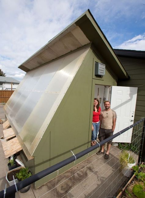 Summer Greenhouse, Passive Solar Greenhouse, Underground Greenhouse, Greenhouse Design, Aquaponics Greenhouse, Solar Greenhouse, Backyard Aquaponics, Best Greenhouse, Winter Greenhouse