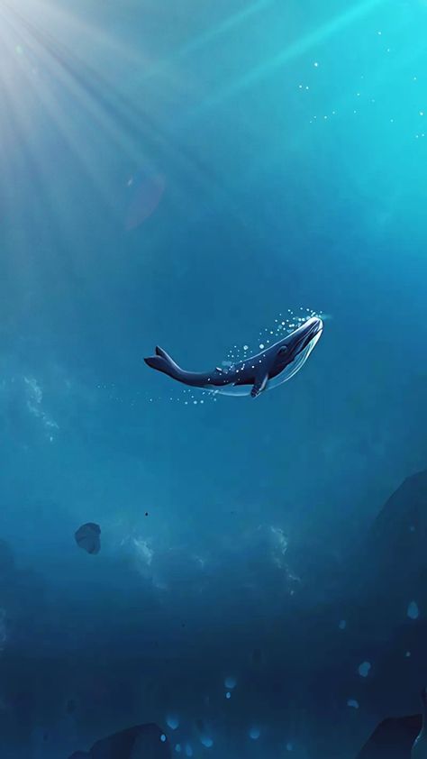 Aesthetic Whale Wallpaper Whale 52 Hertz Wallpaper, Ikan Paus Aesthetic, 52 Hertz Whale Wallpaper, Paus Orca Aesthetic, Whales Aesthetic Wallpaper, Whale Wallpapers Aesthetic, Aesthetic Whale Wallpaper, Blue Whale Aesthetic, Cute Whale Wallpaper