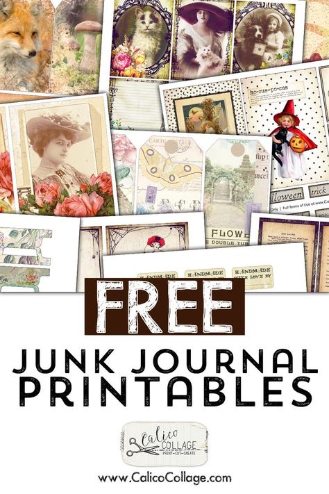 Free Junk Journal Printables, Free Junk Journal, Journal Printables Free, Junk Journal Printables, Junk Journal Kits, Disney Big Hero 6, Printable Journal Cards, Handmade Journals Diy, Free Collage