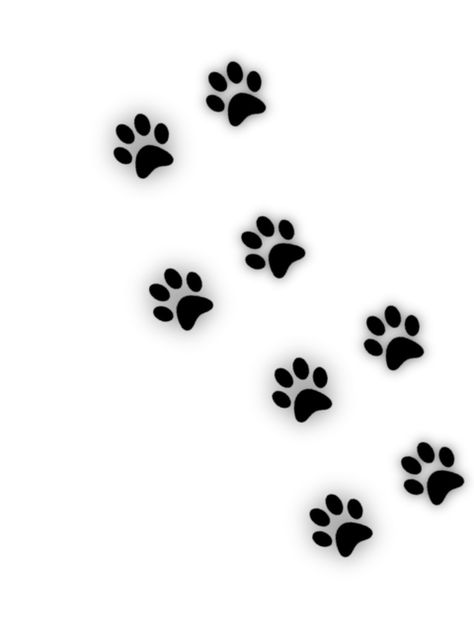 Paw Print Drawing, Vector Graphics Illustrations, Cat Paw Print, World Tattoo, Free Illustration, Photos Hd, Silhouette Art, Minimal Tattoo, Cat Paws