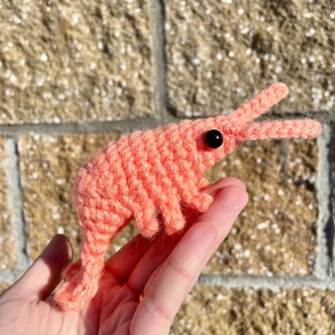 Here's a little shrimp who makes a nice guard for your stash, a gift for a friend, or a welcome addition to a crocheted seafood salad. Approximate size of finished plush is approximately 5 inches long, which varies based on yarn weight, hook size, and tightness of stitches. Get the Pattern by Ghee Beans Crafty here Emotional Support Shrimp Crochet, Shrimp Amigurumi Free Pattern, Shrimp Crochet Pattern Free, Crochet Shrimp Free Pattern, Shrimp Amigurumi, Shrimp Crochet Pattern, Crochet Shrimp, Silly Crochet, 2024 Crochet