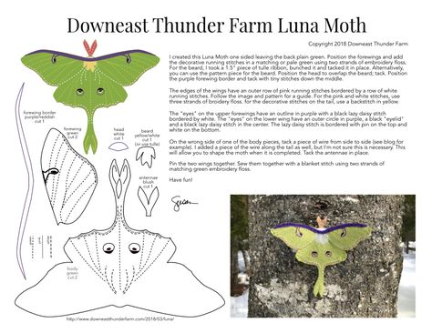 The Lovely Luna Moth | Downeast Thunder Farm Luna Moth Template, Luna Moth Pattern, Felt Moth Pattern, Broidery Ideas, Moth Pattern, Luna Moths, Felt Ornaments Patterns, Cute Sewing Projects, Felt Pattern