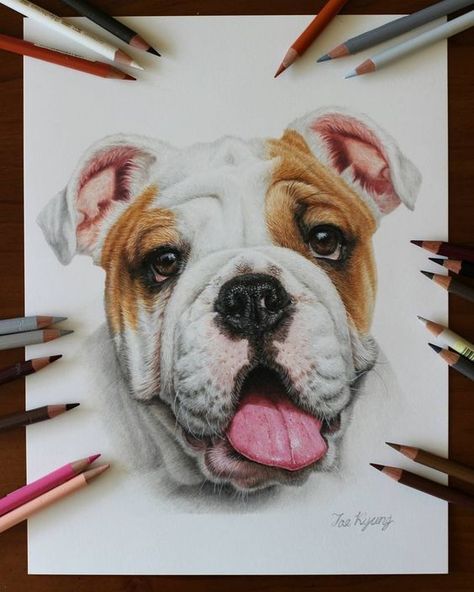 Drawings Of Puppies, Puppies And Kittens, Kitten Drawing, Pencil Drawings Of Animals, Puppy Drawing, Eyes Artwork, Colored Pencil Artwork, 강아지 그림, Kittens And Puppies