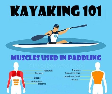 Ditch the Gym - Go Kayaking for the Best Exercise! Kayak Workout, Arizona Trip, Kayaking Tips, Muscle Stretches, Sally Ride, Kayak Camping, Race Training, Kayak Adventures, Trailer Ideas