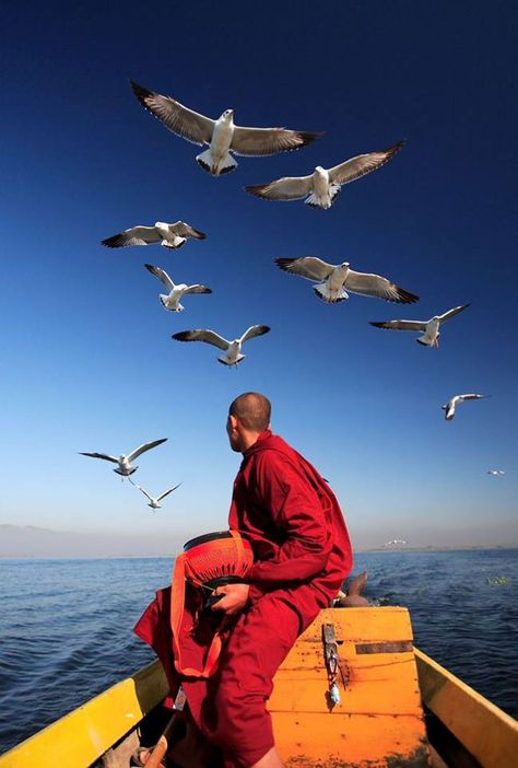 "Look within. Be still...free from fear and attachment. Know the sweet joy of living in the Way." Buddha Wow Photo, Inle Lake, Buddhist Monk, Foto Art, People Of The World, 인물 사진, People Around The World, Tibet, Myanmar