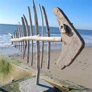 driftwood art | Driftwood Art | My craft Driftwood Fish, Driftwood Projects, Driftwood Beach, Driftwood Sculpture, Driftwood Crafts, Drift Wood, Beach Crafts, Beach Signs, Driftwood Art