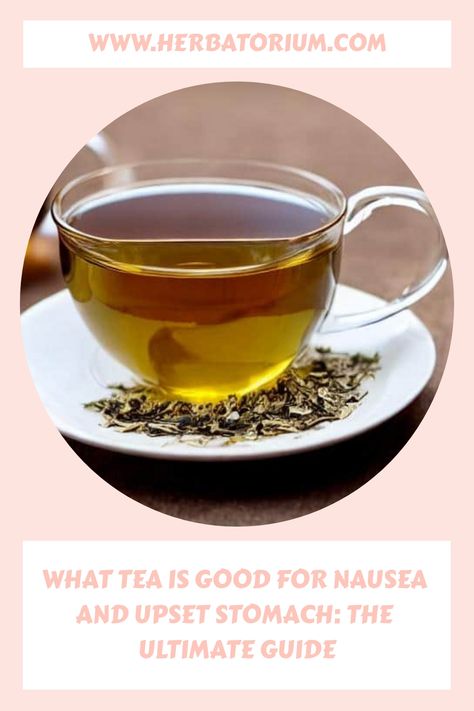 Best Tea For Nausea, Natural Remedy For Nausea, Herbs For Nausea, Tea For Stomach Bug, Nausea Relief Instant, What Helps With Nausea, Home Remedy For Nausea, Tea For Upset Stomach, Tea For Stomach Ache