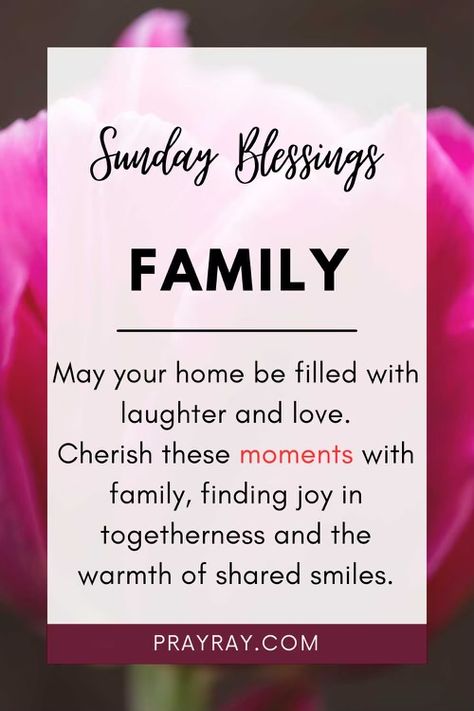 Sunday Blessings Images, Sunday Morning Quotes, Sunday Blessings, Everyday Prayers, Blessed Sunday, Healing Touch, Good Morning Texts, Morning Blessings, Morning Prayers