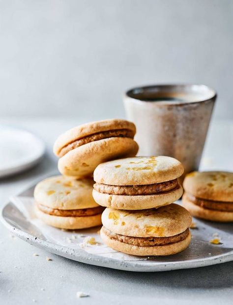 Stem ginger and date biscuits recipe | Sainsbury's Magazine British Biscuit Recipes, Date Biscuits, Ginger Asian, Stem Ginger, Cookie Cookbook, Biscuit Sandwich, Ginger Biscuits, Buttery Biscuits, Biscuits Recipe