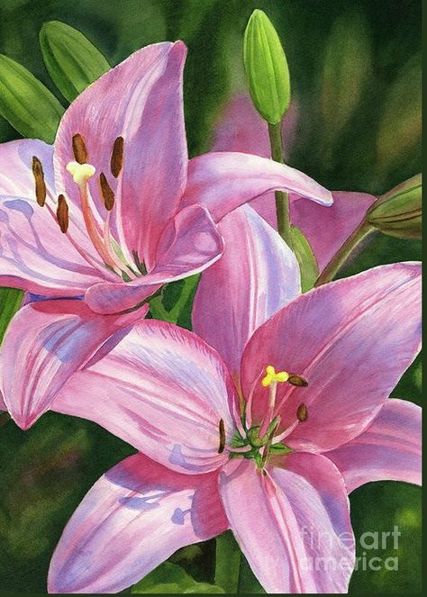 Lillies Painting, Water Paint Flowers, Pink Lilies, Flower Canvas Art, Lily Painting, Oil Pastel Paintings, Hur Man Målar, Oil Painting Flowers, Flower Canvas