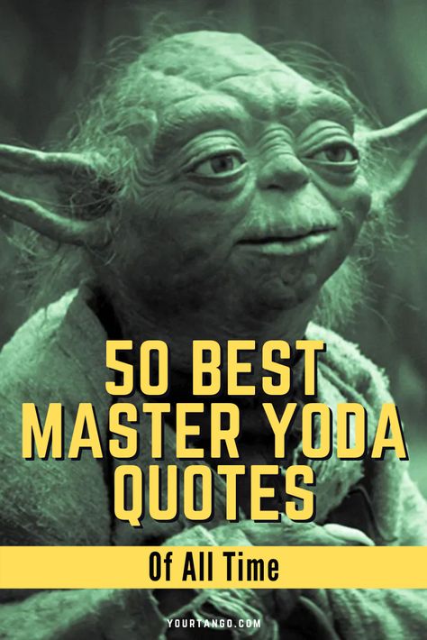 50 Best Yoda Quotes For Jedi Masters & Padawans Alike | YourTango Star Wars Encouragement, Funny Yoda Quote, Yoda Quotes Wisdom Inspiration, Yoda Sayings Quotes, Jedi Sayings, Star Wars Sayings Quotes, Inspirational Star Wars Quotes, Star Wars Motivational Quotes, Cool Star Wars Stuff