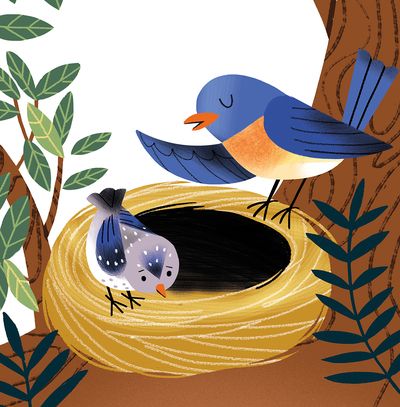 Giovana Medeiros | Advocate Art Nest Illustration, Kids Canvas Art, Book Cover Illustration, Kids Canvas, Advocate Art, Animated Christmas, Fairy Book, Art Licensing, Cute Birds