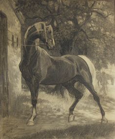 george von hamlton art horses | THE STALLION" by George Ford Morris | American Saddlebred Museum 2011 ... Horse Side Profile, Drawings Of Horses, American Saddlebred Horses, Animal Artists, Horse Images, Equine Artwork, Dark Academia Art, Horses Art, Amazing Horses