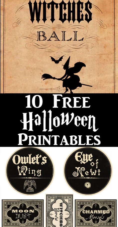 Bariatric Halloween, Vintage Halloween Crafts, Vintage Halloween Printables, Halloween Apothecary Labels, Free Halloween Printables, Vintage Halloween Images, Halloween Potion Bottles, Halloween Apothecary, Apothecary Labels