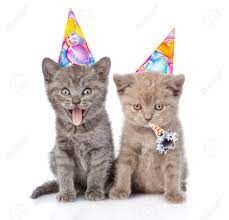 Birthday Kitten Party! Cat Therapy Is Turning 2! - The Santa Barbara Independent Party Cat, Kitten Party, Therapy Cat, Kitten Birthday, Cat Birthday Party, Happy Birthday Messages, Creative Activities For Kids, Birthday Hat, 6th Birthday Parties