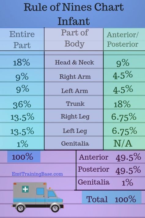 Nremt Study, Medic School, Future Paramedic, Emt School, Rule Of Nines, Emt Training, Medical Learning, Emergency Medical Responder, Emt Study