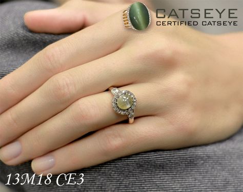 Define your style by adorning this gorgeous cats eye stone ring @ https://shop.catseye.org.in/ Cats Eye Ring Design, Cat Eye Stone Ring, Cat Eye Jewelry, Cat Eye Stone, Cats Eye Ring, Define Your Style, Gold Necklace Indian, Gold Necklace Indian Bridal Jewelry, Necklace Indian