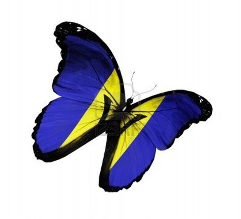 A butterfly representing the Barbados flag. Pride Of Barbados Tattoo, Barbados Flag Tattoo, Barbados Tattoo Ideas, Barbados Tattoo, Granny Tattoo, Pride Of Barbados, Barbados Flag, Butterfly Flying, French Tattoo