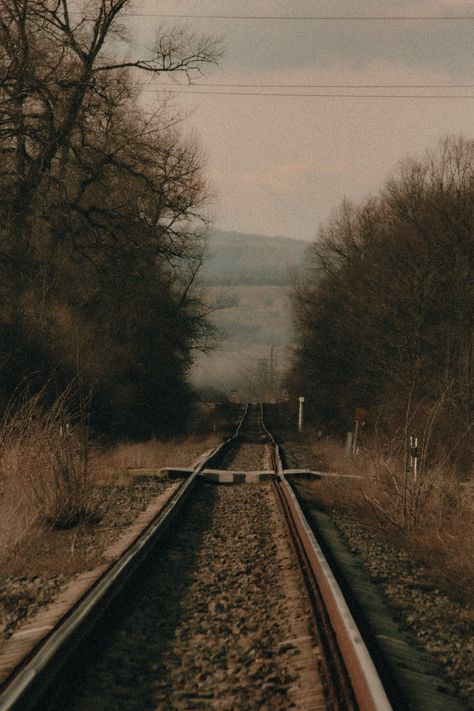 Brown Bare Trees Beside Train Rail · Free Stock Photo Bare Trees, Rail Train, Night Train, Bare Tree, American Gothic, Beauty Products Photography, Train Tracks, Not Afraid, Aesthetic Photo