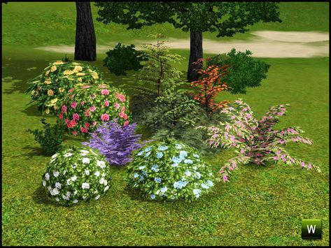 Shrubs and Bushes Bush Aesthetic, Flowering Quince, Hydrangea Bush, Sims 4 House Design, Japanese Maple Tree, The Sims 3, Garden Deco, Halloween Trees, Garden Set