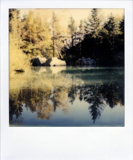 polaroid Polaroid Pictures Nature, Poloride Photo, Nature Polaroids, Forest Polaroid, Old Polaroid Pictures, Polaroid Landscape, Polaroid Ideas, Polaroid Aesthetic, Beyond The Lights