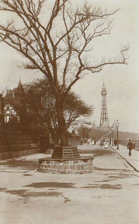 Egremont to New Brighton Promenade Liverpool History, New Brighton, Liverpool City, Blackpool, Black Dog, Where The Heart Is, Vintage Postcards, Brighton, Liverpool