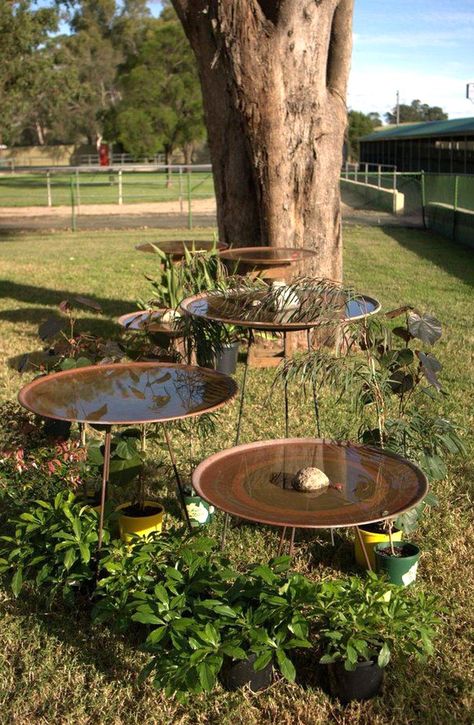 Large Bird Baths, Bath Design Ideas, Diy Bird Bath, Bird Bath Fountain, Bird Bath Garden, Bird Baths, Backyard Inspiration, Garden Yard Ideas, Bird Garden