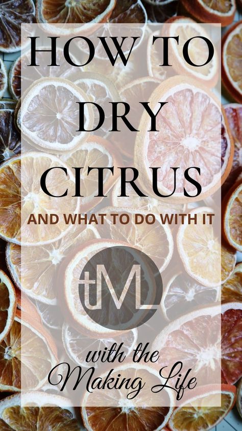 Everything you need to know about drying citrus. This guide will teach you how to dry citrus whether you use a dehydrator, oven, or even the sun! #dehydrator #citrus #driedcitrus #orange #lemon #lime #grapefruit #christmasdecor Sun Dehydrator, Grapefruit Uses, Citrus Recipes, Dried Lemon, Dehydrated Fruit, Dried Oranges, Dehydrated Food, Oranges And Lemons, Dehydrator Recipes