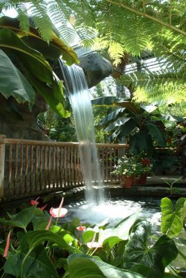 Cambridge Butterfly Conservatory, Ontario - YES, it's a real place and it sounds magical! Cambridge Butterfly Conservatory Wedding, Butterfly Conservatory, Wedding Venues Ontario, Conservatory Wedding, Cambridge Ontario, Water Parks, Richmond Hill, Beautiful Places On Earth, Amusement Parks