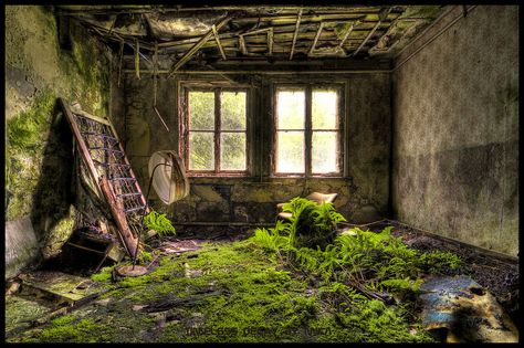 Abandoned Hotels, Haunted Hotel, Hotel Motel, Beautiful Hotels, Abandoned Buildings, Abandoned Houses, Abandoned Places, Green Living, Urban Decay