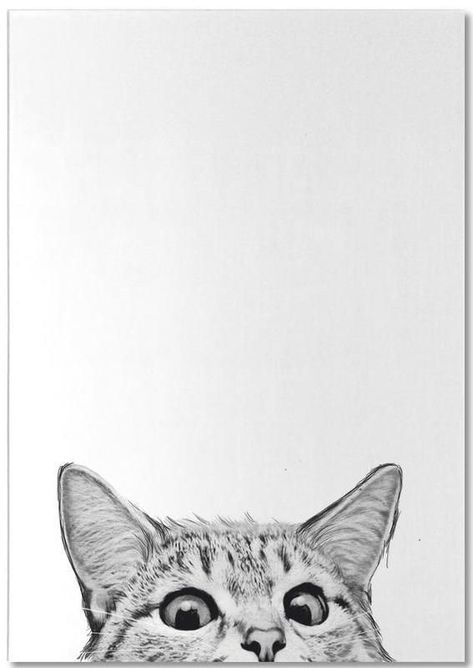 Cat Drawing Tutorial, Cats Art Drawing, Cat Tattoo Designs, Pahlawan Marvel, 흑백 그림, Pencil Art Drawings, Animal Sketches, Arte Animal, Cat Painting