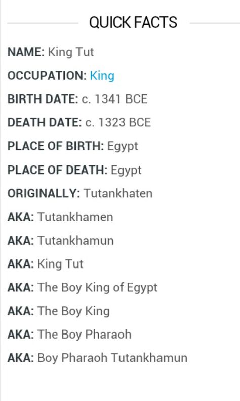 Quick Facts about King Tut Egyptian Aesthetic, The Boy King, School Craft, King Tut, Tutankhamun, Love My Kids, School Crafts, School Projects, Summer Camp