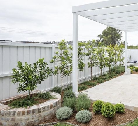 Coastal Front Garden Australia, Front Landscaping Australia, Small Feature Trees Front Yard Australia, Provincial Garden, Hampton Front Yard, Simple Front Yard Landscaping Australian, Coastal Gardens Australia Beach Houses, Hamptons Fence, Hamptons Garden