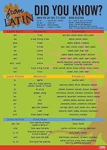 Latin Poster, Latin Language Learning, Poster Classroom, Latin Language, Prefixes And Suffixes, Learn Hebrew, English Teachers, Greek Language, English Writing Skills