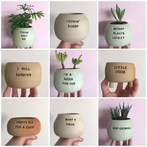 Succulent Sayings, Clay Plant Pots, Technology Website, Plant Puns, Hannah Brown, Plant Pot Design, Plant Pot Diy, Painted Pots Diy, Painted Plant Pots