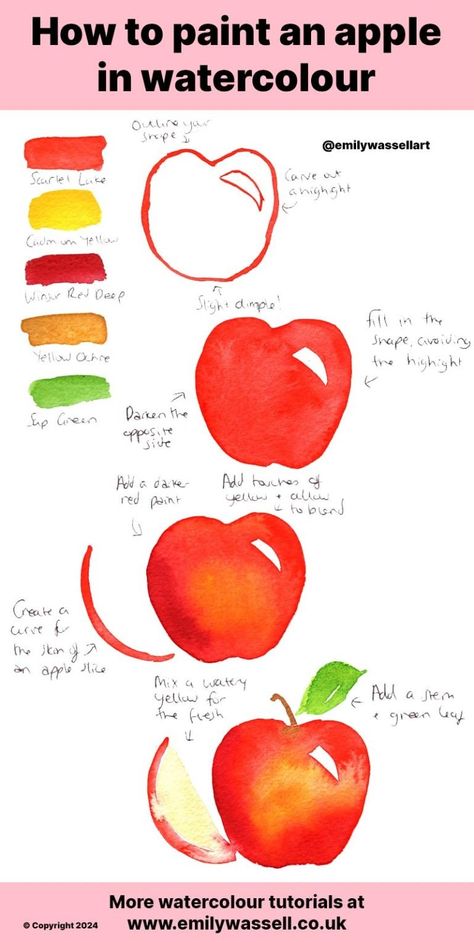 Tutorial: How to paint apples in watercolour - Emily Wassell Watercolour Fruit Easy, How To Paint An Apple, Watercolor Apple Tutorial, Apple Paintings, Watercolour Apple, Apple Watercolor, Loose Watercolour, Drawing Food, Watercolor Aesthetic