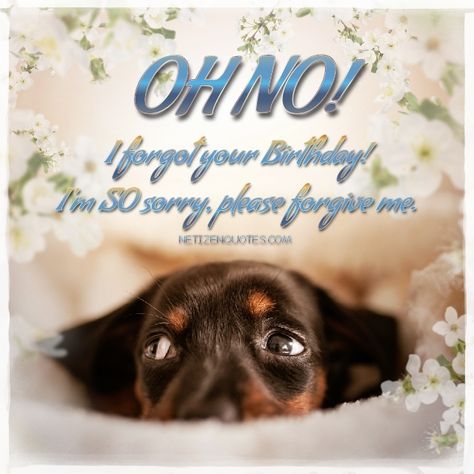 Oh no, I forgot Your birthday - Netizen Quotes Sorry I Forgot Your Birthday, Forgot Birthday, I Forgot Your Birthday, Forgot Your Birthday, Happy Birthday 1 Year, Love Sleep, I Love Sleep, Valentines Day Greetings, Find Quotes