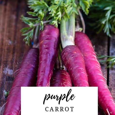 Purple  Carrot - Biennial Clemson Tailgate, Purple Carrots, Carrot Benefits, Carrot Patch, Pantone Colours, Pantone Colour Of The Year, Purple Carrot, Rainbow Carrots, Daucus Carota