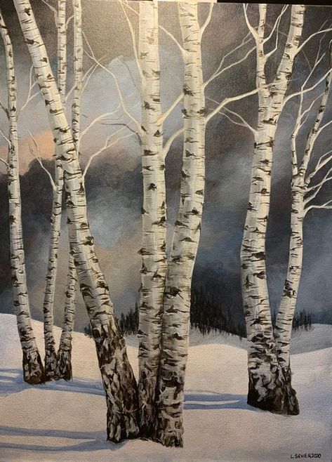 Winter Birch Trees Watercolor, Birch Tree Drawing Pencil, Watercolor Birch Trees In Snow, Birch Trees In Snow, Birch Tree Painting Watercolor, Birch Tree Watercolor Painting, Winter Birch Tree Painting, Aspen Tree Drawing, Burch Tree