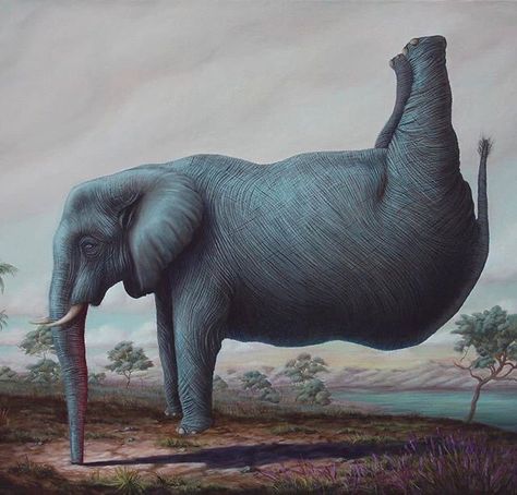 Surealism Art, Wow Art, Silly Animals, Pop Surrealism, Very Funny Pictures, An Elephant, Salvador Dali, Weird Art, Really Funny Pictures