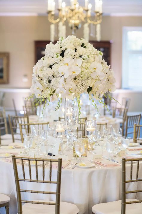 Orchid Centerpieces Wedding, Hydrangea Centerpieces, Orchid Centerpieces, Hydrangea Centerpiece, Hydrangea Bouquet, Orchid Wedding, Wedding Floral Centerpieces, Weddings By Color, Connecticut Wedding