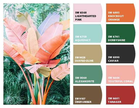 Tropical House Paint Colors Exterior, Alexandrite Sherwin Williams, Sherwin Williams Paint Combinations, Sherwin Williams Tropical Paint Colors, Rainforest Colour Palette, Muted Tropical Color Palette, Tropical Paint Colors, Palm Springs Color Palette, Coastal Airbnb