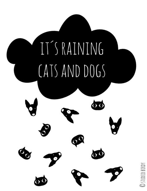 www.studiobirdy.com, rainy quote, rain, raining cats and dogs It's Raining Cats And Dogs, Raining Cats And Dogs, It's Raining, Cats And Dogs, Cute Illustration, Birdy, Rainy Days, Art Blog, Cool Words